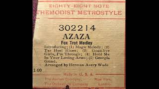 AZAZA Medley Herman Avery Wade Player Piano Roll [upl. by Gerger]