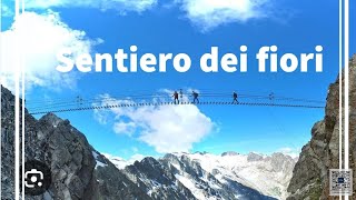 Sentiero dei fiori  Lombardei  3000  passo tonale [upl. by Mackintosh]