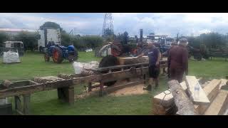 steam engine powered circular saw bench bed cutting timber vintage rempstone rally 2024 [upl. by Gans271]