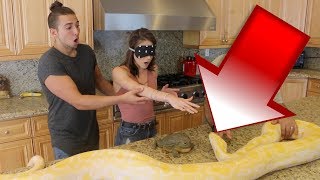 GIANT PYTHON SURPRISE DATE PRANK SHE FREAKED OUT [upl. by Latsyrc]