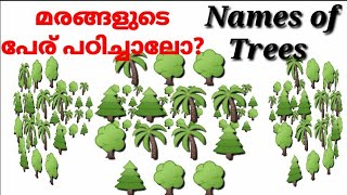 Names of treesമരങ്ങളുടെ പേര് പഠിക്കാം മലയാളത്തിലും ഇംഗ്ലീഷിലും [upl. by Annahsal587]