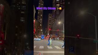 Windy City Chicago 🌆🥰 song 🎶lightshow buildings [upl. by Hoeve813]