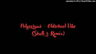 Polycarpus  Oldschool Vibe  Skullr Remix [upl. by Karly]