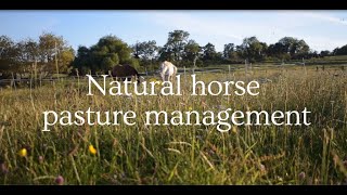 How to manage your horse pasture naturally to save money and time [upl. by Jacobo]