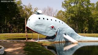 The Blue Whale of Catoosa on Route 66 [upl. by Hilario]