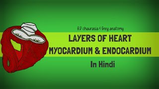 Myocardium and Endocardium In hindi [upl. by Eus]