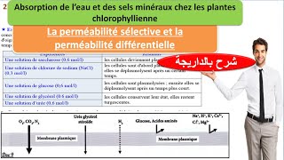 la perméabilité sélective et différentielle svt 1Bac sc ex option français شرح بالداريجة [upl. by Engracia]