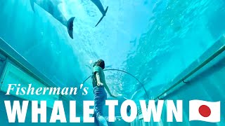 WAKAYAMA🇯🇵 Whaling Village quotTAIJIquot🐳⚓️ Japan Travel Vlog Japanese countryside [upl. by Stalk]