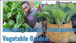 Sacks and Containers Vegetables Gardening [upl. by Siramaj425]