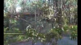 Corowa Caravan Park Corowa NSW Australia [upl. by Shreeves]