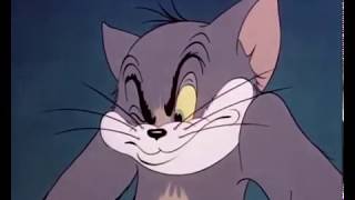 Tom and Jerry Episode 4 Fraidy Cat Part 3 [upl. by Rene]