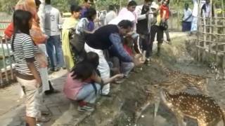 SundarbanUNESCO World Heritage Site In Bangladesh HD [upl. by Dew]