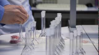 Pharmacist working in the laboratory HD Stock Footage [upl. by Kosse]