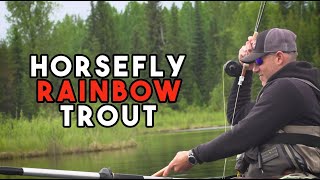 The BEST Dry Fly Fishing in BC  The Cariboos BIGGEST Secret [upl. by Cas879]