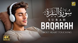 Surah Al Baqarah Full 4K سورة البقره  HEART TOUCHING RECITATION  Zikrullah TV [upl. by Atahs]