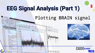 EEG Signal Analysis using MATLAB Part 1  PLOTTING an EEG Signal [upl. by Amehr]