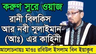 Bangla Waz Maolana Robiul Islam রানী বিলকিস আর নবী সুলাইমান [upl. by Worlock]