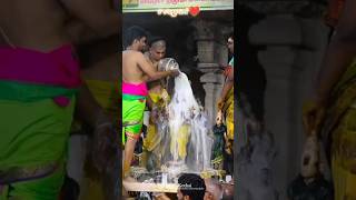 Tiruchendur Murugan Maasi Thiruvila tamilshorts trendingstatus murugan [upl. by Crim]