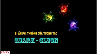 Bí ẩn phi thường của tương tác giữa QUARK và GLUON  Thư Viện Thiên Văn [upl. by Onej]