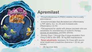 Psoriatic Disease Immunology and Treatment Targets Part 2 [upl. by Gmur]