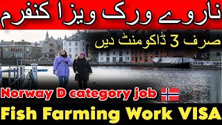 Norway D Type Work Visa  Norway work permit 2024  Labour Shortage in Norway  Norway work visa [upl. by Berkman]