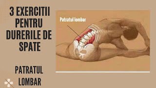 DURERI DE SPATE  3 Exercitii Simple Pentru Relaxare  Patratul Lombar  Ovidiu Kurti [upl. by Darian]