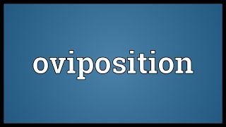 Oviposition Meaning [upl. by Cyprio]