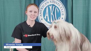 2017 AKC National Rally amp Obedience Championship Highlights [upl. by Eibrad]