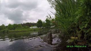 Brombachsee  WOMO Stellplatz aus der Froschperspektive  MotorhomePlace from the frog perspective [upl. by Xavier]