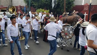 Banda Persica  La MerejildaSi ChuyEl Gavilancillo  En San Sebastian Tecoloxtitlan 2024 [upl. by Seek]