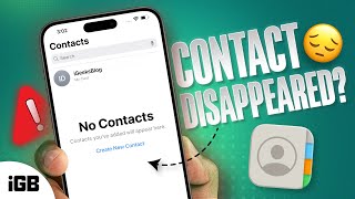 iPhone Contacts Disappeared 9 Ways to Get Them Back iOS 17 [upl. by Nagy]