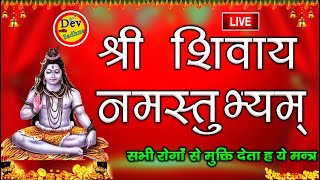 Shri Shivay namhstubyam श्री शिवाय नमस्तुभ्यं 108 बार  Dev Bhakti Sadhna [upl. by Nolyad354]