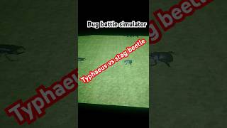 Bug battle simulator Typhaeus VS Stag beetle Bugs insects shorts [upl. by Solrac454]