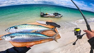 Pêcher et manger mon poisson sur une île paradisiaque isolée   Catch and Cook [upl. by Crofoot156]