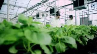 Agricultural Biotechnology Accelerating Economic Opportunities in North Carolina UPDATE [upl. by Jocko860]