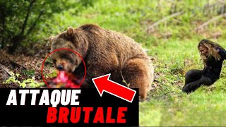 Ce COUPLE a Été ATTAQUÉ Par Un Ours Lors dUne Promenade  Homme VS Animal [upl. by Alekehs874]