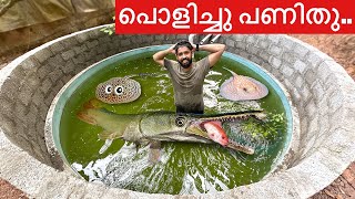 Part01💥എന്തിനാ കുളം പൊളിച്ചത്  We started Rebuilding the POND [upl. by Eustache]