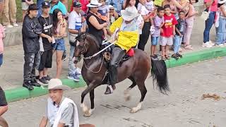 Cabalgata del Festival del Retorno [upl. by Lipscomb301]