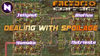 How To Set Up FARMING amp Manage SPOILAGE On Gleba  14  Factorio SPACE AGE [upl. by Nnaytsirk]