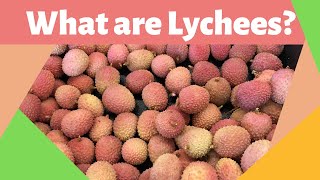 What are lychees Fruit [upl. by Freeland]