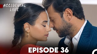 Accidental Love Episode 36 FULL HD [upl. by Brig]