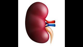 Chronic Kidney Disease Stage 3 [upl. by Essenaj]