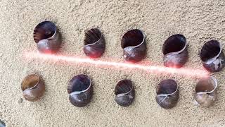 Casting Melting Aluminum into Snail out of Scrap Restore to Make Art shorts viralvideo reels [upl. by Refitsirhc]