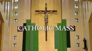 Roman Catholic Mass for September 1st 2024 Twentysecond Sunday in Ordinary Time [upl. by Shaeffer]