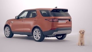 The new Land Rover Discovery  Dog Friendly [upl. by Mook378]