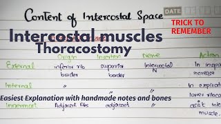 Intercostal Space  Contents  Muscles  Clinicals  Thoracostomy  Part 1 Easiest Explanation [upl. by Mhoj892]