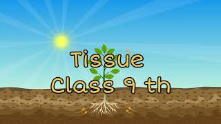 Tissue Class 9 One Shot With Notes [upl. by Trilbee]