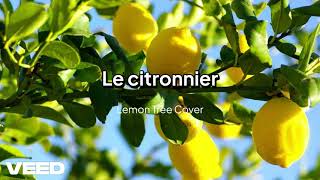 Le Citronnier  Lemon Tree Free French Cover [upl. by Lime435]