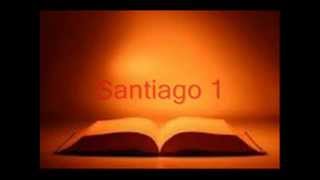 BIBLIA HABLADA SANTIAGO completo RV 1960 [upl. by Swithbart]