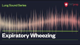 Expiratory Wheezing  EMTprepcom [upl. by Evangelist120]